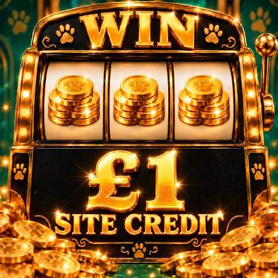 £1 SITE CREDIT