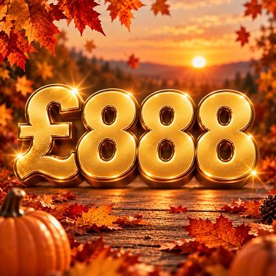 ✨£888✨