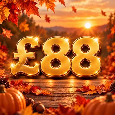 ✨£88✨
