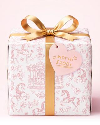 🎁 PLOUISE CHRISTMAS PRESENT OR £100 🎁 