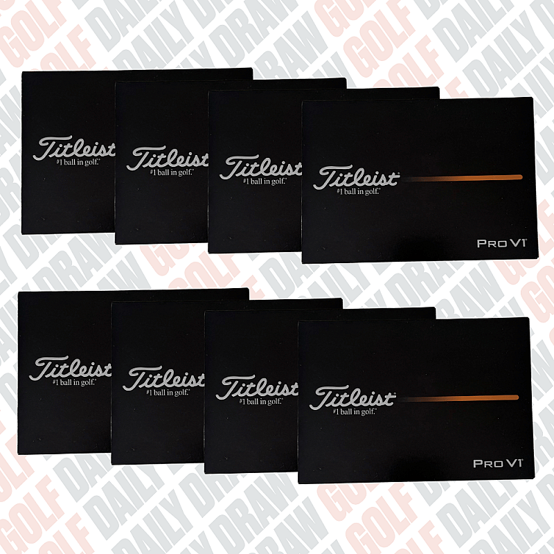 WIN 8 DOZEN TITLEIST PROV1 OR X BALLS #9