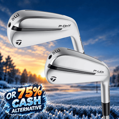 🏌🏻‍♂️ TAYLORMADE DRIVING IRON
