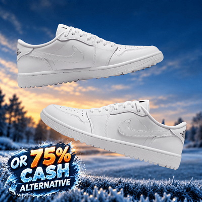 NIKE JORDAN LOW SHOES