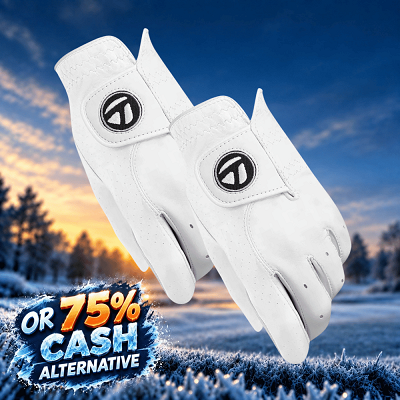 2X TAYLORMADE TP GLOVES