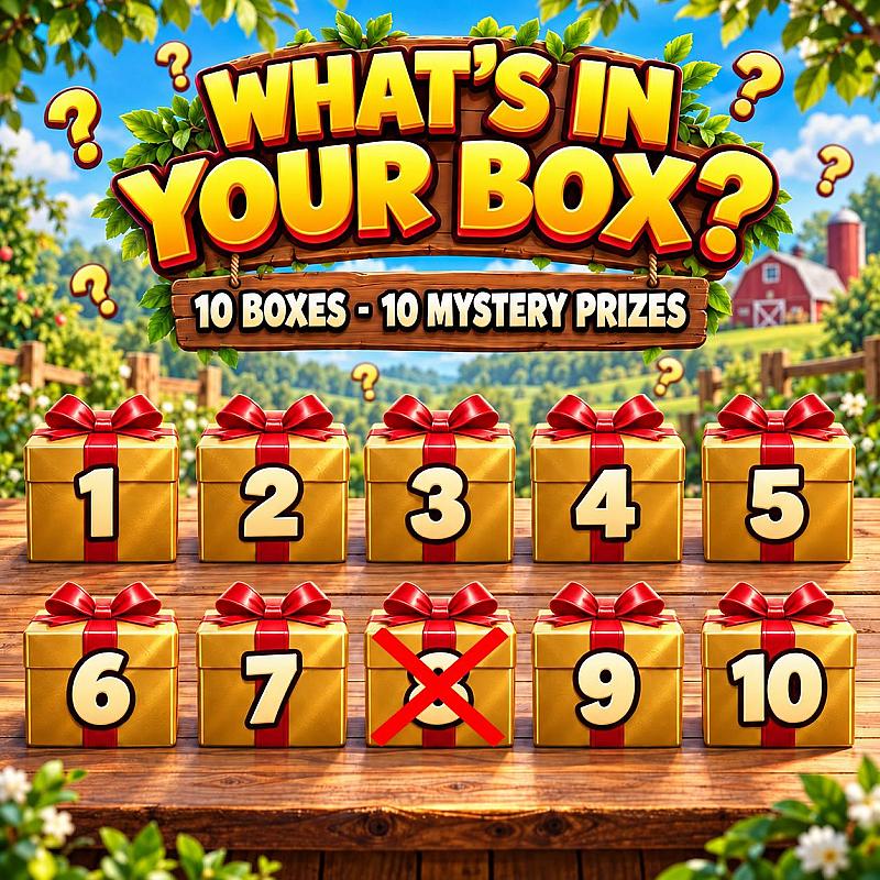 WHAT’S IN YOUR BOX? 🎁 MYSTERY WINS!