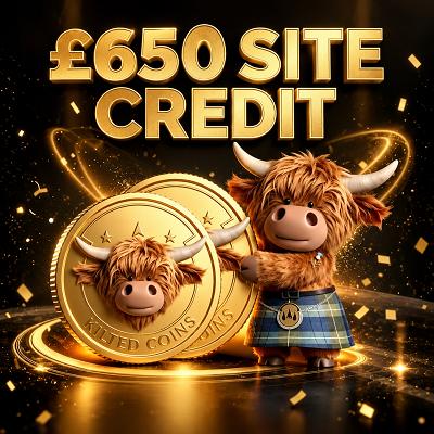 £650 Site Credit