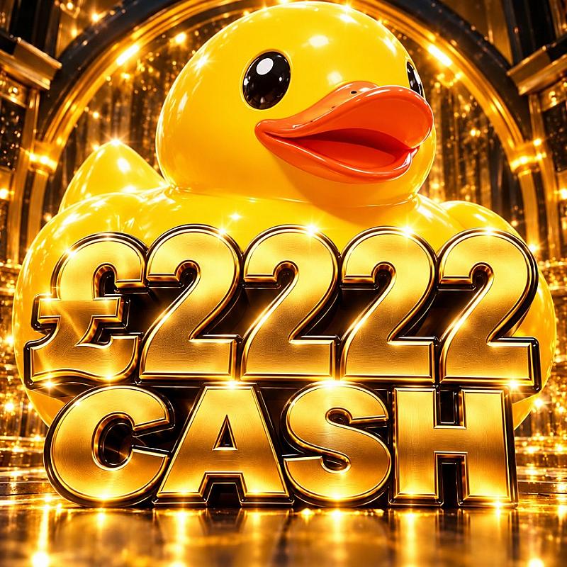 £2222 MIGHTY DUCKS 🦆
