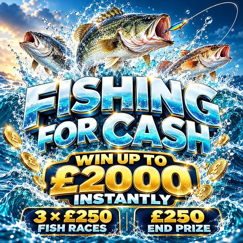 Fishing for Cash 🎣