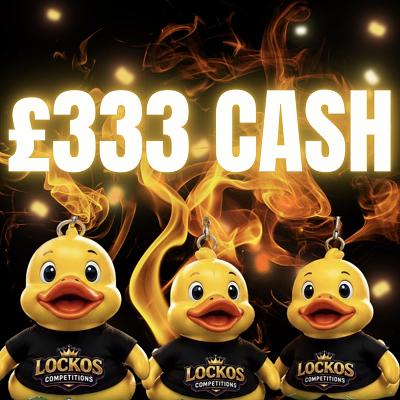 £333 CASH!