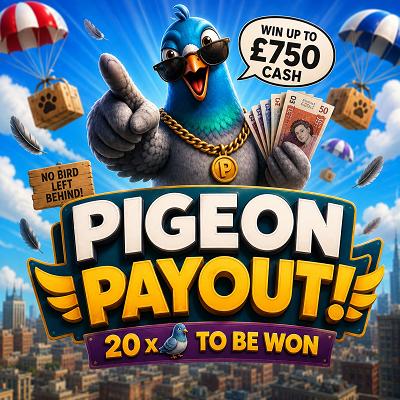 1 x 🎟️ into Pigeon Payout 🐦 