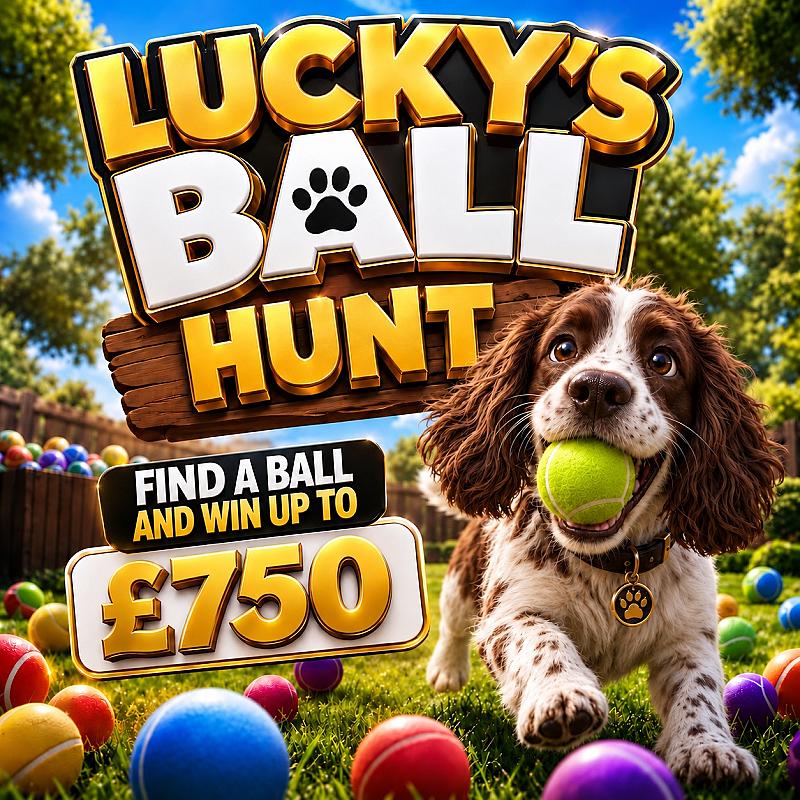 Lucky’s Ball Hunt