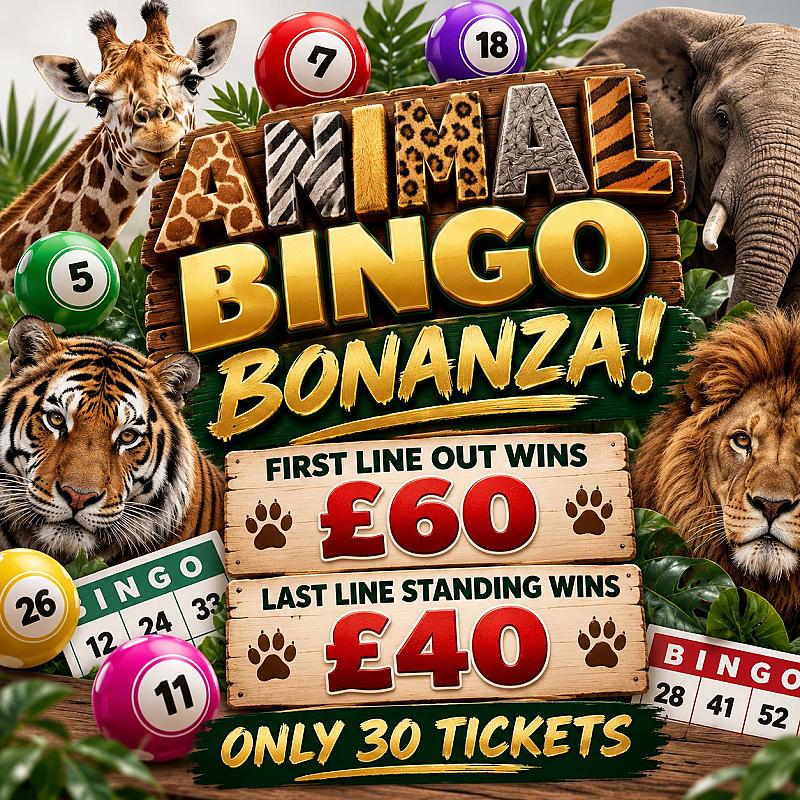 Animal Bingo Bonanza 