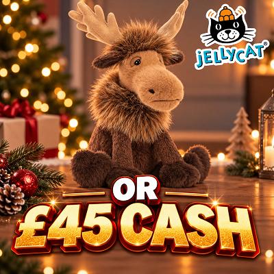 Birchly Moose JellyCat or £45 CASH 🫎 