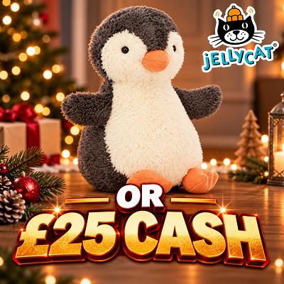 Peanut Penguin JellyCat or £25 CASH  🐧 