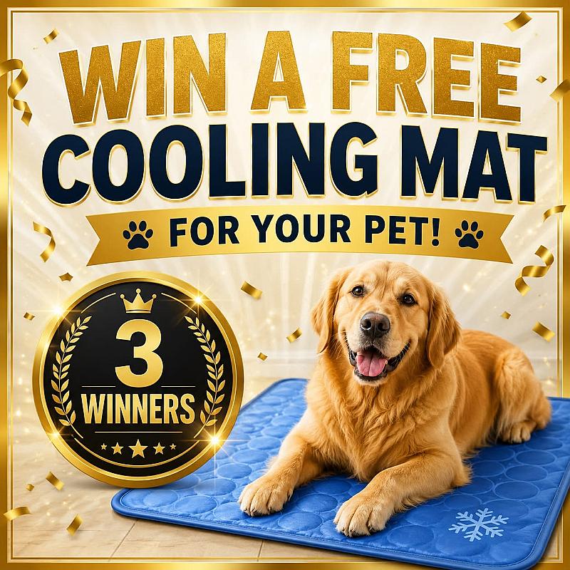 Free Pet Cooling Mat