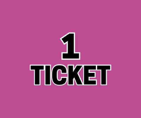 1 x TICKET INTO BOOT SCOOTIN