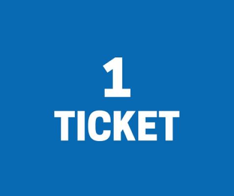 1 x TICKET INTO DIZZY DONKEY