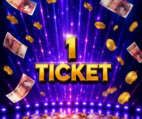 1 x TICKET INTO FLAMINGO