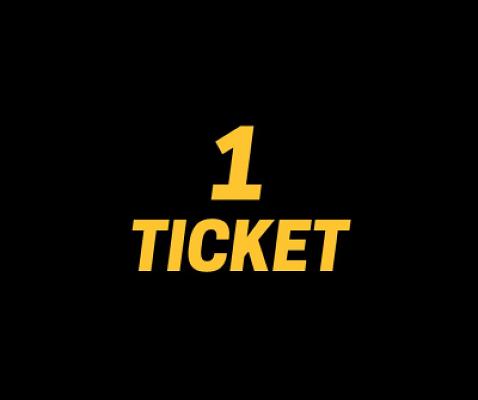 1 x TICKET INTO FLAMINGO