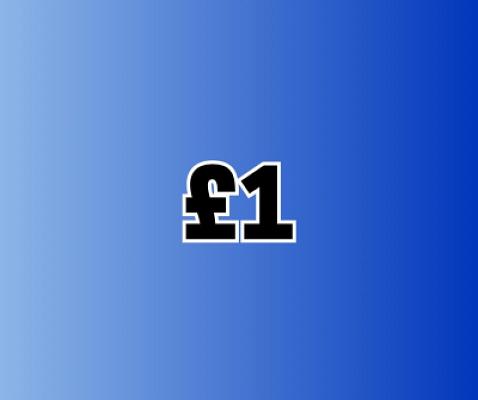 £1 SITE CREDIT