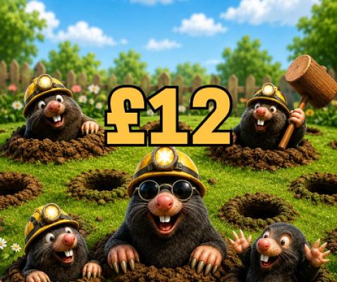 £12 SITE CREDIT