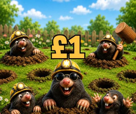 £1 SITE CREDIT