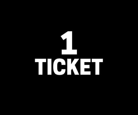 1 x TICKET INTO 12 DAYS OF XMAS