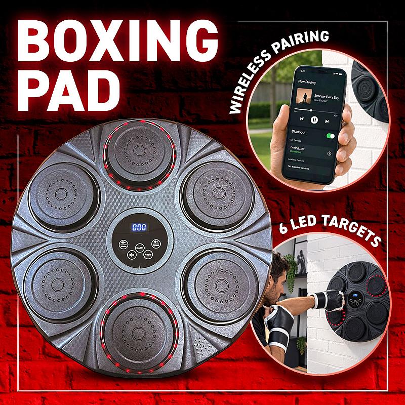 LED Boxing Pad