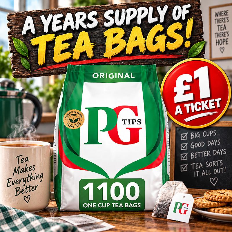 A YEARS SUPPLY OF TEA BAGS 