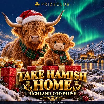 Take Hamish Home Highland coo plush toys