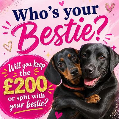 Who's your Bestie!?