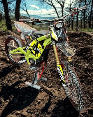 NEW SURRON LIGHT BEE