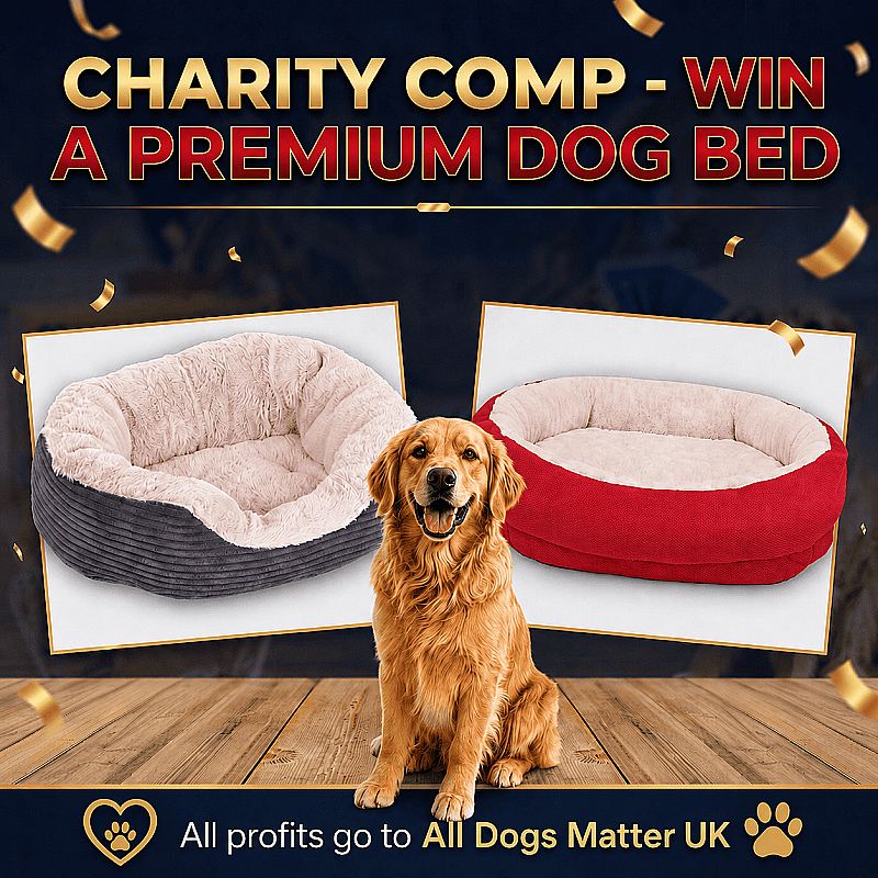 Charity Comp - Win a Premium Dog Bed!