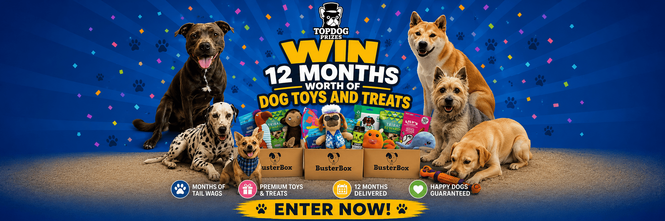 Win 12 Months of Dog Toys & Healthy Treats