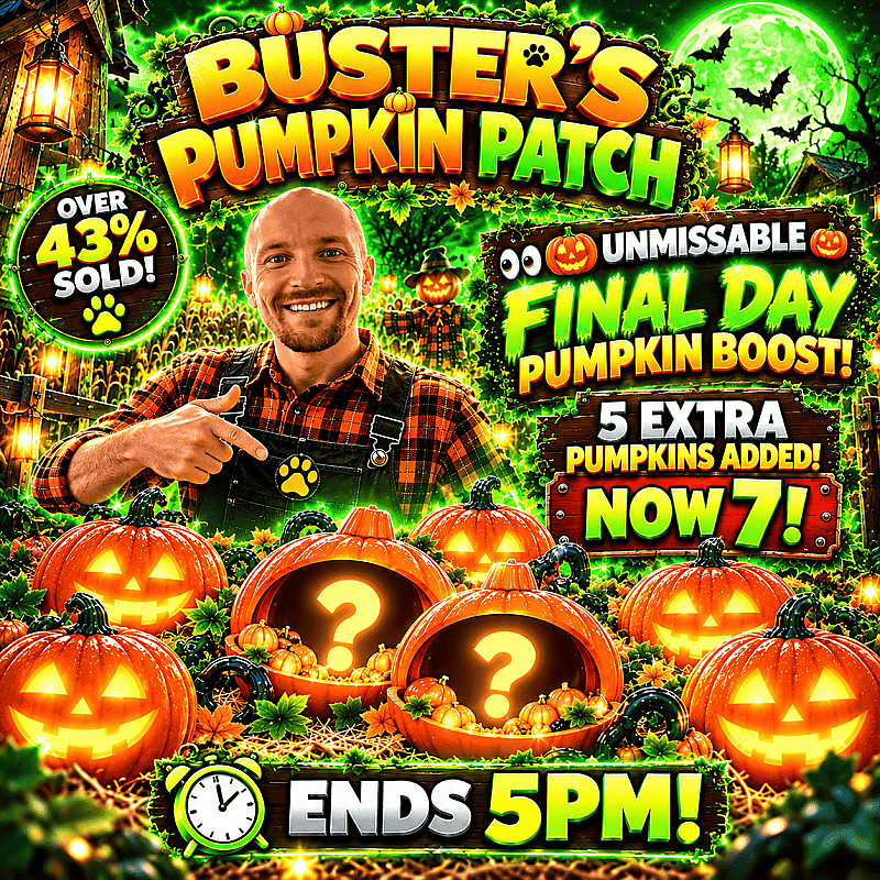 Buster’s Pumpkin Patch - Find A 🎃 To Win A Grand
