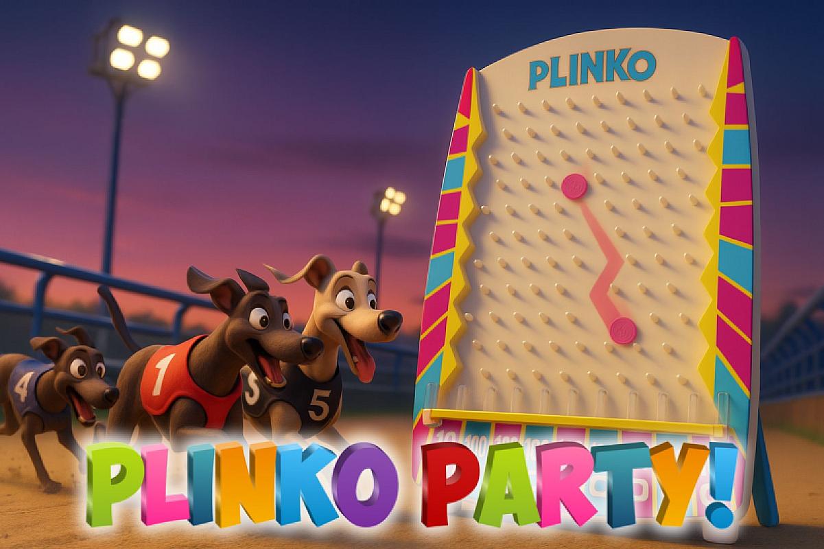 PLINKO PARTY! WINNER TAKES ALL!