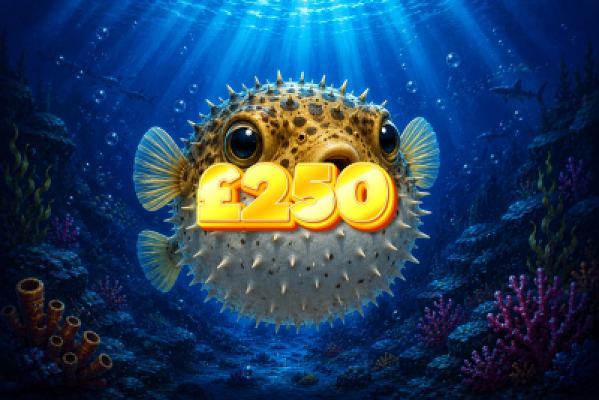 PUFFERFISH 🐡