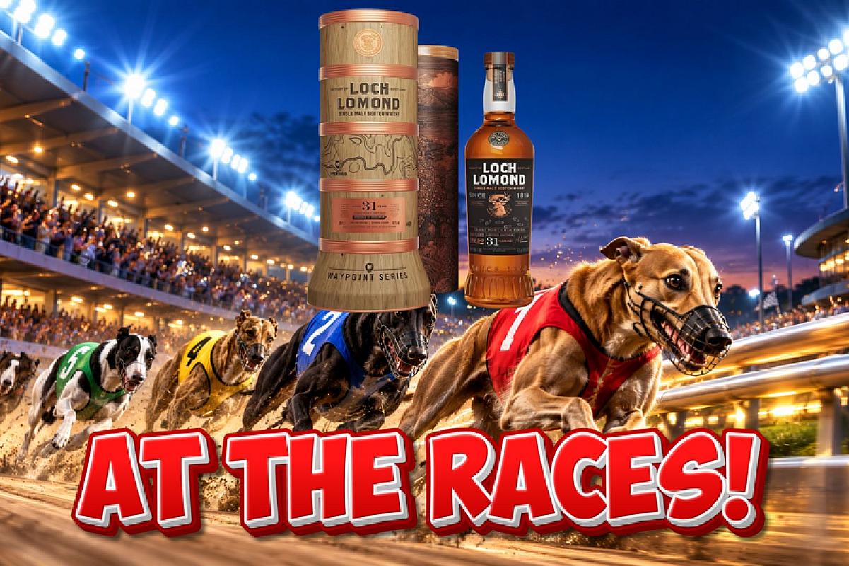 RACE 1 - LOCH & LOADED - 1 WINNER