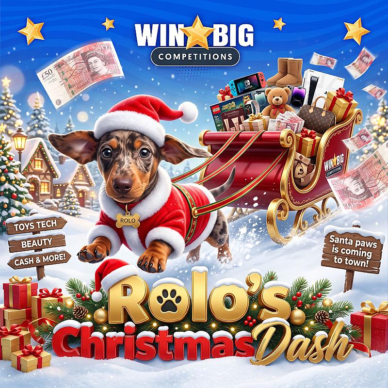 ROLO’S CHRISTMAS DASH🎅