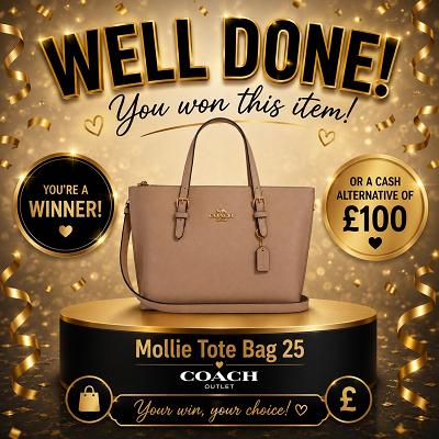 Mollie tote bag 25 || £100 CASH ALT
