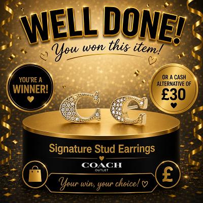 signature stud earring || £30 CASH ALT