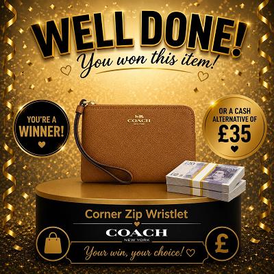 Corner zip wristlet  || £35 CASH ALT